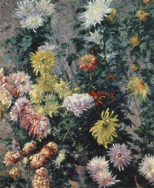Gustave Caillebotte Chrysanthemums,Garden at Petit Gennevilliers Germany oil painting art